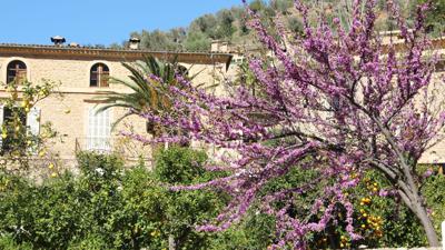 Rundweg Deià – Cala de Deià
