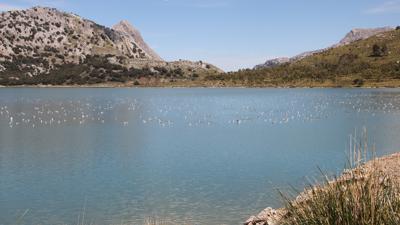 Puig de l’Ofre, 1093 m