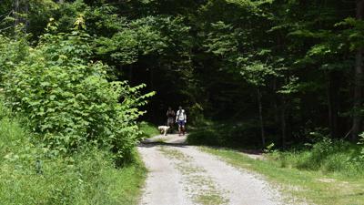 In den Gräben
