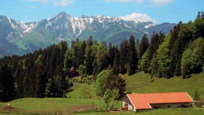 Taubensee
