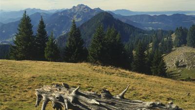 Fockenstein, 1564 m