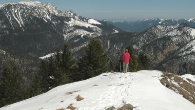 Hirschhörnlkopf, 1514 m