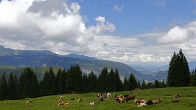 Panoramaweg Söllereck – Riezlern