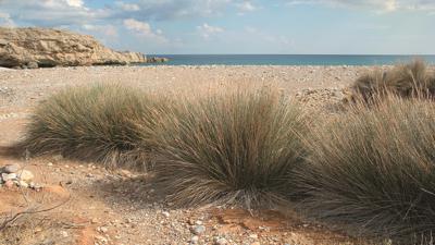 Chochlakies-Schlucht – Karoumes Beach