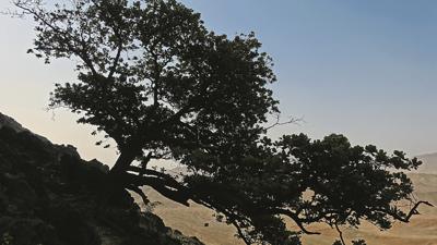Assomada Figueira – Praia de Palha Carga