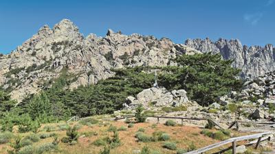 Turm III (Punta di a Vacca)