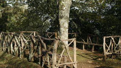 Von Pico das Pedras nach Queimadas