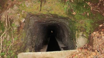 Levada da Fajã do Rodrigues