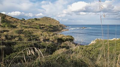 Von Cala Tirant nach Cavalleria