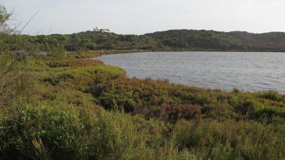 Addaia – Cap de Favàritx – Cala Presili
