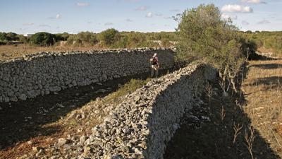 Llucmaçanes – Binibèquer Vell