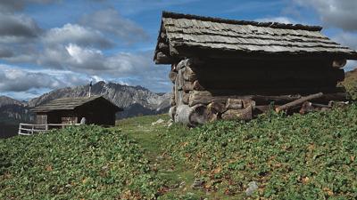 Steineckenalm und Mittagskofel, 2250 m