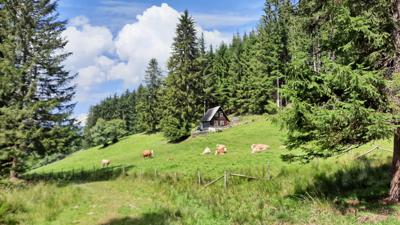 ﻿Christmetten-Rundwanderweg