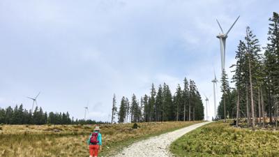 Auf den Steinriegel, 1577 m