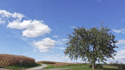 Keltischer-Baumkreis-Weg