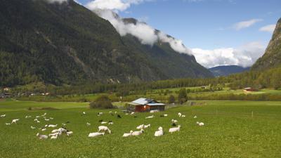Farst – Reichalm, 1962 m