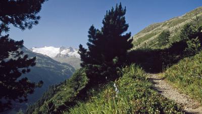 Nederkogel, 3163 m