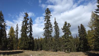 Moosalp / Stand, 2121 m