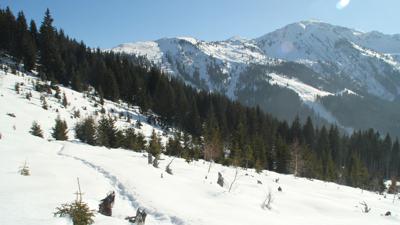 Loas und Kleiner Gamsstein, 1924 m