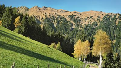 Pfitschkopf, 2120 m