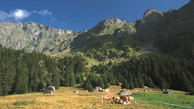 Hochganghaus, 1839 m