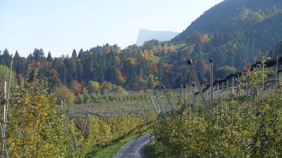 St. Hippolyt bei Völlan