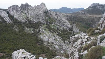 In der Gipfelregion des Montiferru