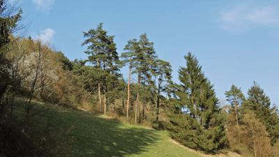 Naturlehrpfade Merishausen