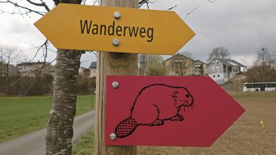 Thayngen: Biberweg