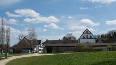 Schaarewies