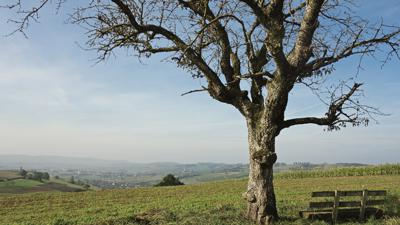 Silstig und Santiergen