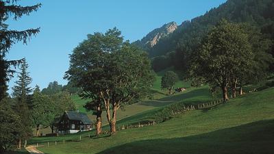 Planggenstock und Hirzli