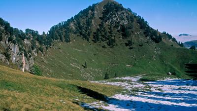 Geolog. Wanderweg Roggenstock