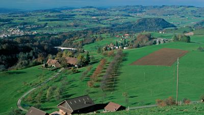 Moränenlandschaft bei Menzingen