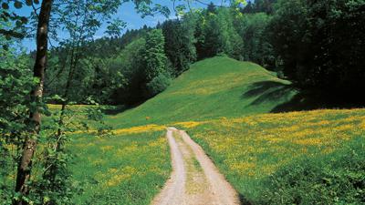 Über den Hirzel nach Sihlsprung