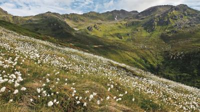 Pfoner Kreuzjöchl und Mislkopf