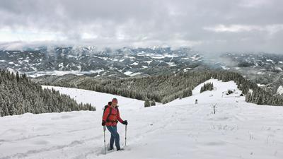 Wildeggkogel, 1792 m