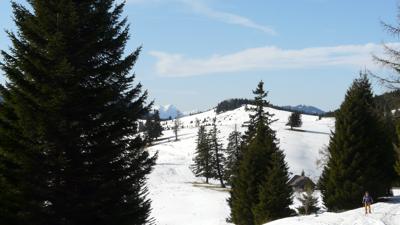 Plankogel, 1531 m