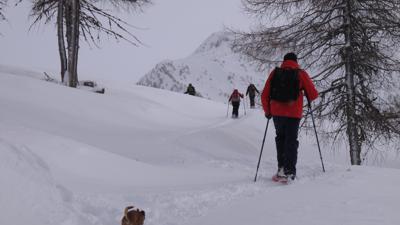 Obere Gostalm, 1990 m