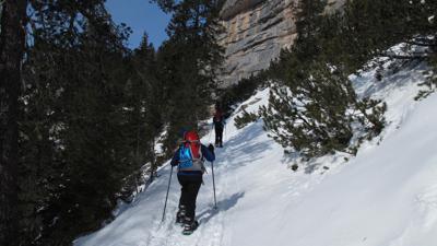 Picio Col de Lasta