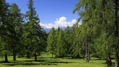 Felixer Weiher, 1604 m
