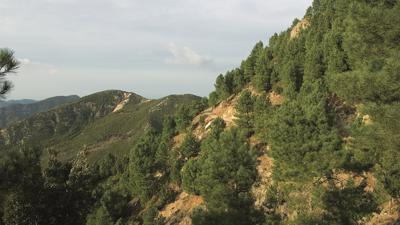 Naturlehrpfad Sentiero Girasi