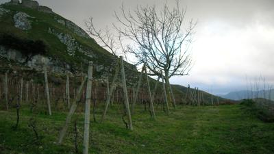 Durch Gioiosa Vecchia