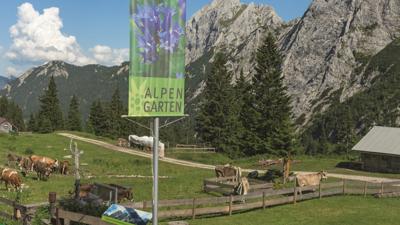 Otto-Mayr-Hütte & Schartschrofen