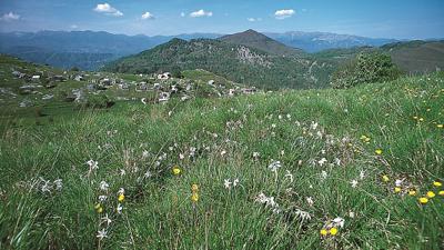 Von Vagli di Sopra nach Campocatino und San Viano