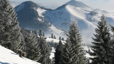 Schreckenkopf, 1316 m