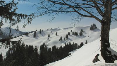 Fockenstein, 1564 m