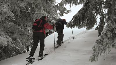 Niederbleick, 1589 m