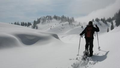 Feuerköpfl, 1291 m