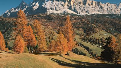 Tschengles (Cendles), 1963 m